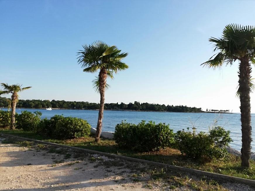 Apartments Oleander Lovrecica-Residence With Pool Bagian luar foto