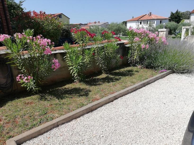 Apartments Oleander Lovrecica-Residence With Pool Bagian luar foto