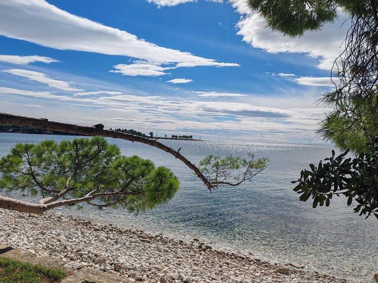 Apartments Oleander Lovrecica-Residence With Pool Bagian luar foto